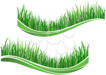 Green grass waves isolated on white background