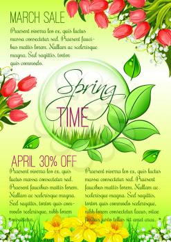 Spring Sale seasonal discount promo offer vector poster. Springtime holiday shopping design of tulip blossom bouquets and blooming daffodil petals or narcissus bunches on spring sunny grass meadow