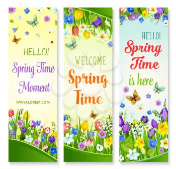 Hello Spring vector banner set with flowers and greeting quotes of Welcome Spring Time. Floral design with butterflies and blooming springtime flowers on green grass meadow of crocuses and lily blosso