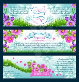 Spring Sale banners and greeting wishes design for springtime seasonal discount promo shopping offer. Spring flowers of tulip blossoms, daisy bouquets and blooming daffodil petals on green grass