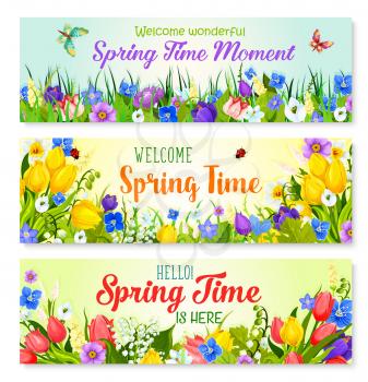 Spring Time holiday greeting banner with flowers. Welcome Spring seasonal quotes design. Blooming green fields and butterfly on meadow lawns of springtime tulips and snowdrops, daffodils or crocuses