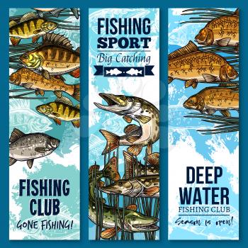 Fishing banner set with swimming fish. River perch, carp, pike, bream and crucian sketch poster of freshwater fish for fishing sport club or fisherman sporting competition flyer design