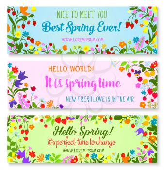Hello Spring and Spring Time greeting quotes on vector banners set. Floral wreath and bouquets of springtime blooming flowers, garden tulips or daisy bunch and forest poppy blooms with berries