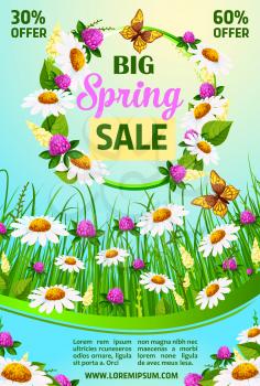 Big Spring Sale poster for springtime holiday discount offer. Vector floral design of blooming daisy blossoms on spring grass field. Wreath bunch of clover flowers and orchid bouquets for spring shopp