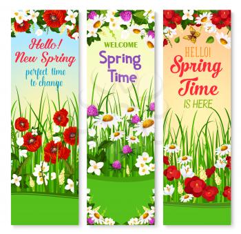 Springtime greetings vector banners set with Hello Spring wishes. Holiday design of blooming poppy and begonia flowers, daisy or daffodil blossoms and lily flowers on green grass lawn