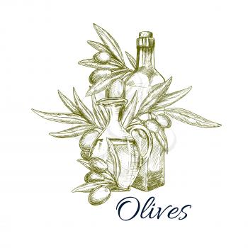 Sketch olives and olive oil bottle and pitcher. Vector icon or emblem of green olive-tree branch for culinary cooking seasoning product emblem or salad dressing ingredient and condiment