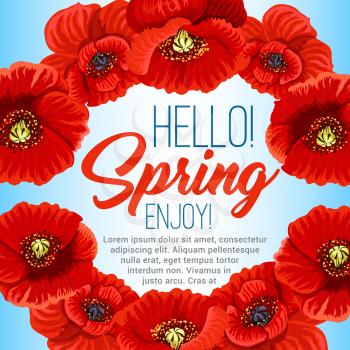 Hello Spring poster design of poppy flowers wreath or floral frame. Vector greeting quotes design for springtime holidays with blooming flower bouquets and flourish petal blossoms