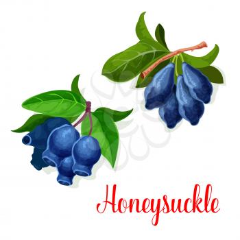Honeysuckle icon. Vector isolated berry seeds of woodbine or woodbind species. Bunch of honeysuckle plant leaf. Design for jam dessert or fresh juice label or grocery store and farm market