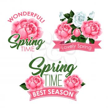 Springtime season greeting quotes with roses bouquets and flowers wreath design. Blooming pink and white blooming roses and flourish bunches with ribbons. Vector isolated icons templates set