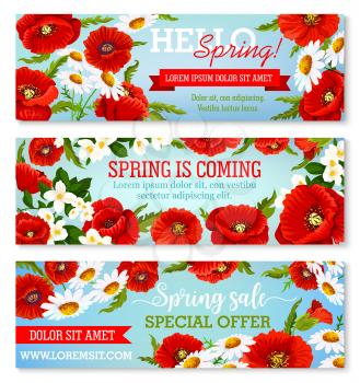Spring flowers sale special offer banners set with blooming springtime poppy, daisy bouquets and crocus blossom in green garden lawn. Vector floral bunches design with holiday greeting quotes