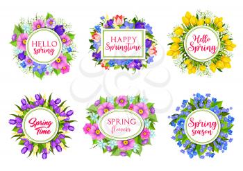 Hello Spring greeting springtime flowers bouquets. Vector icons of floral bunches, blooming tulips and roses, poppy and iris blossoms, daisy and crocus flowers, flourish daffodils for holiday cards