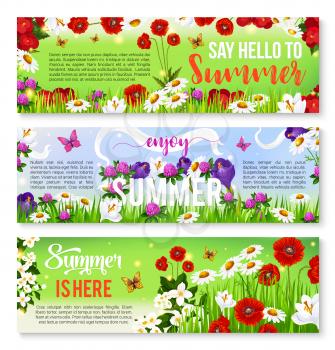 Summer flower greeting banner. Summer season celebration invitation flyer with flower field of daisy, crocus, poppy, jasmine and clover, green grass, butterfly and ribbon with wishes of Happy Summer
