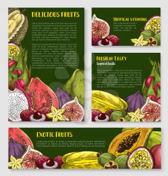 Exotic tropical fruit banner template set. Papaya, carambola, feijoa, passion fruit, fig, lychee, dragon fruit, durian and guava sketches for fruity dessert and drink menu card or poster design