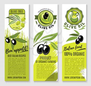 Olive oil product and Italian olives banners for extra virgin cooking or salad oil product. Vector design set of black and green olive branches for natural organic bottle label