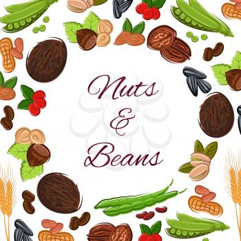 Nuts, grain and nutritious plant seeds of cereals kernels, wheat, oat or rye ears, sunflower or pumpkin seed, peanut and cashew, coconut, almond and pistachio, hazelnut, walnut and legume bean or pea.