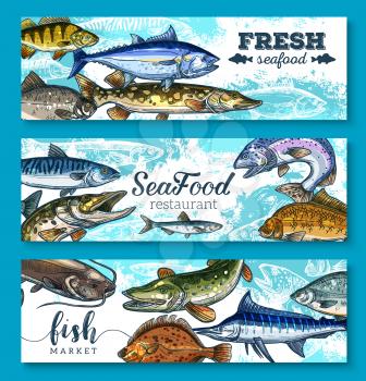 Fresh seafood or fish banners for fresh sea food market or restaurant. Vector set of salmon, flounder or pike and marlin or sheatfish big catch. Fishery mackerel, perch or sprat and herring with tuna