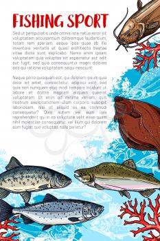 Fishing sport sketch poster with sea fish. Salmon, tuna, sheatfish, flounder and herring fish with copy space for sport club brochure or fishing tournament flyer template design