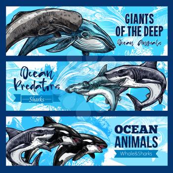 Ocean giant predatory animals banners set. Vector design of sperm whale cachalot, killer whale or orca and hammerhead or white shark and toothed predator fishes and marine mammals