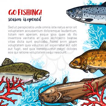 Fishing poster for fisherman club or open season for fish catch. Vector design of fishes humpback salmon, herring or trout and sheatfish or carp in ocean or river water