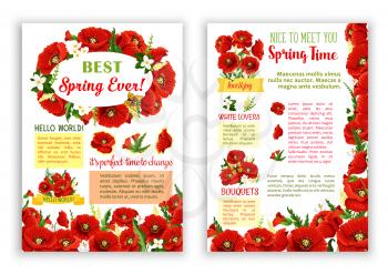 Springtime poster with poppy flowers and spring floral bouquets of orchid blossoms and blooming lily of valley. Vector design of flourish flowers bunches with spring time greeting quotes