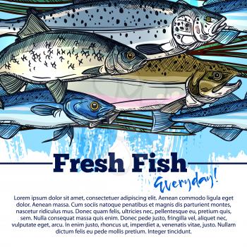 Seafood and fish catch poster. Vector design of fisherman salmon and tuna or herring and trout, pike and carp or flounder and sheatfish for fishing sea food market or restaurant menu template