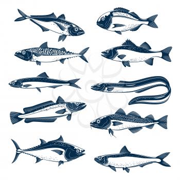 Fish, sea animal and seafood icon set. Salmon, tuna, mackerel, trout, bass, perch, dorado, eel, cod, sardine, herring, sprat isolated blue silhouette for fish market, seafood and fishing theme design