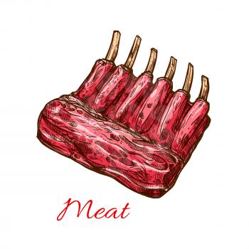 Meat ribs sketch. Meat cut of pork ribs, lamb or beef chop isolated symbol for barbecue party, grill bar or steak house menu, butcher shop design