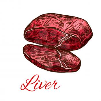 Meat liver, fresh offals isolated sketch. Liver organ of beef, pork or lamb mammal animal for butcher shop, meat store label, food themes design