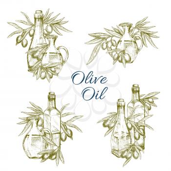Olive oil and olives vector sketch. Set of bottles, jars and pitchers with extra virgin oil for product labels design or farm market of green and black olive fruits on branches