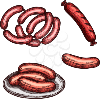 Meat sausage on plate sketch. Fresh beef and pork sausage, grilled frankfurter and weenie isolated icon of meat product for butcher shop and barbeque menu design