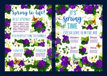 Spring flower blossom festive poster for Springtime season holiday template. White jasmine and purple violet floral frame with butterfly, green leaf and branch for greeting card and banner design