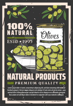 Olives natural food product retro vector poster with can and bowl of pickled green fruits and olive tree branches. Greek or Italian vegetable seasonings, dressing and mediterranean cuisine ingredients