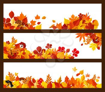 Autumn leaf, forest mushroom and berry banner. Yellow and orange foliage of maple tree, chestnut and elm, cep mushroom, red briar and rowan berry branches border for fall nature season themes design