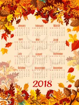 Calendar template of autumn nature season leaf. 2018 year calendar with fall leaves, orange and red maple tree foliage, forest acorn, rowan berry branch and pine cone frame