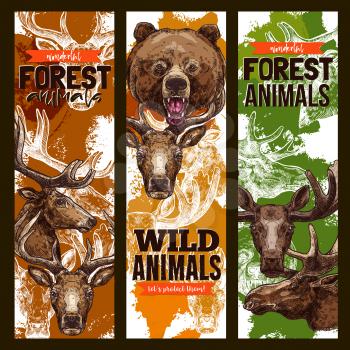 Animal sketch banner set of forest wildlife. Wild bear, deer, elk, reindeer and moose animal sketch poster, carnivore mammal and hoofed animal for zoo flyer, nature and fauna themes design