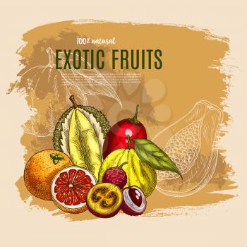 Exotic fruits vector poster of durian or papaya, tropical yuzu apple, feijoa or lychee and rambutan or mangosteen, orange or lemon and pomelo citrus fruit and juicy figs harvest