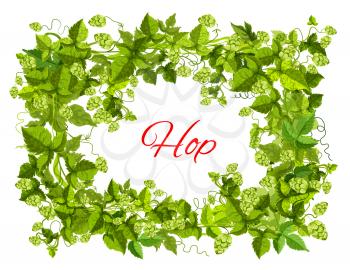 Hops plant green branches with leaf and cone arranged into frame with copy space in center for beer label, brewery emblem or bar menu floral decoration