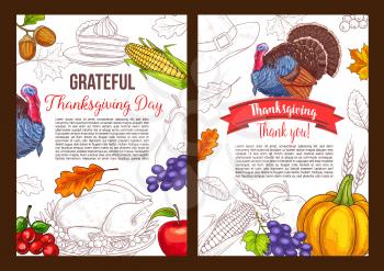 Thanksgiving day greeting poster of turkey bird and autumn September food harvest pumpkin, grape and corn. Vector sketch design for traditional Thanksgiving holiday of maple and oak leaf on red ribbon