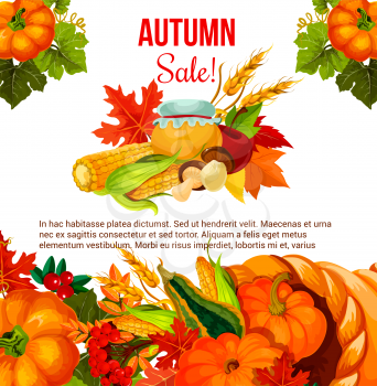 Autumn season sale offer poster for Thanksgiving Day holiday. Fall harvest pumpkin, corn vegetable and apple fruit in cornucopia with autumn leaf, mushroom, cranberry and honey promotion banner design