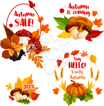 Autumn Sale, Hello Fall icons for seasonal shopping discount promo or greeting card design. Vector 30 percent price off wreath of pumpkin, maple leaf or oak acorn and rowan berry or mushroom harvest