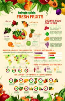 Fruits infographics template. Vector design elements of fruit consumption, grape or apple vitamins statistics, diagram and chart on organic food on world map for melon or apricot and plum or pineapple