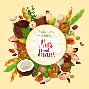 Nuts and beans poster of fruits kernels and seeds. Vector almond, pistachio or coconut and cashew nut, peanut or coffee beans, legume walnut or hazelnut and sunflower or pumpkin and pine nuts