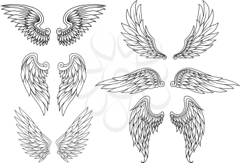 Heraldic wings set for tattoo or mascot design