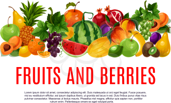 Fruit and berry poster of fresh farm product template. Orange, apple, pear and pineapple, banana, mango and peach, grapes, lemon and watermelon, kiwi, plum, melon and apricot fruit banner design