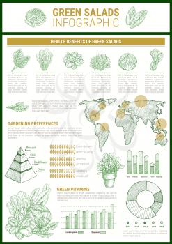 Salad greens infographic template. Leaf vegetable health benefits chart and vitamin content graph, cultivation preferences map and pyramid diagram with lettuce, basil, spinach and arugula sketches