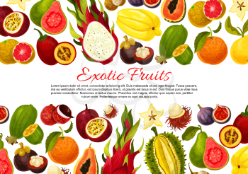 Exotic fruits poster or banner template of tropic fruit harvest. Vector tropical papaya, passion fruit maracuya or figs and durian, farm juicy lychee or organic pitahaya and carambola or guava