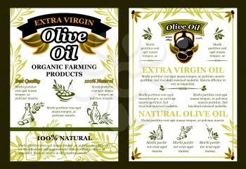 Olive oil extra virgin organic farm product poster of green and black olives for Greek, Italian or Mediterranean cuisine design template. Vector best quality natural cooking oil in bottles and jars