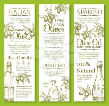 Olive oil sketch banners of green and black olives for extra virgin product bottle packing label design template. Best quality organic vector Portugal ot Italy and Spain cooking oil