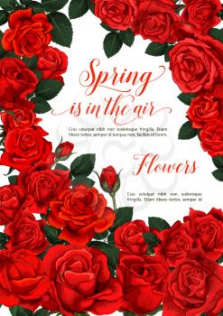 Spring is in Air seasonal greeting card of red roses and flowers bunch for springtime season celebration. Vector design of blooming roses bouquets and red spring floral flourish frame