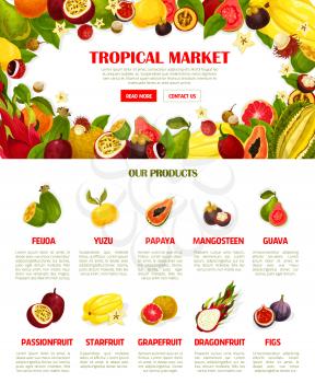Exotic tropical fruits poster or shop landing page template. Vector design of papaya, mangosteen or rambutan and durian, mango or orange pomelo and feijoa, dragon fruit, maracuya passion and guava
